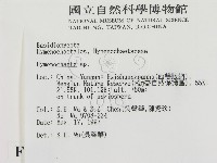刺革菌屬藏品圖，第2張