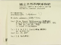 登錄號:F0007875藏品圖，第2張