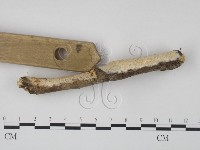 登錄號:F0007876藏品圖，第3張