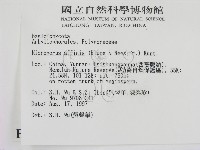 相鄰小孔菌藏品圖，第2張