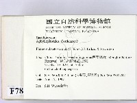 登錄號:F0007880藏品圖，第2張