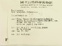 登錄號:F0007882藏品圖，第2張