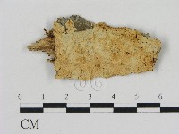 登錄號:F0007883藏品圖，第1張
