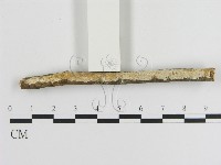 登錄號:F0007884藏品圖，第1張