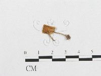 登錄號:F0007885藏品圖，第1張