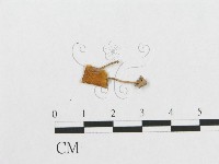 登錄號:F0007885藏品圖，第3張