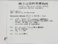相鄰小孔菌藏品圖，第2張