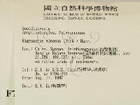 登錄號:F0007887藏品圖，第2張