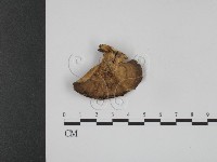 登錄號:F0007888藏品圖，第3張