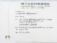 登錄號:F0007889藏品圖，第2張