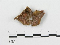 登錄號:F0007889藏品圖，第1張