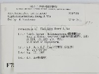 登錄號:F0007890藏品圖，第2張