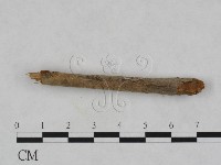 登錄號:F0007891藏品圖，第3張