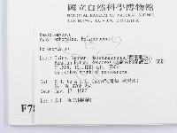 多孔菌屬藏品圖，第2張