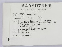 寡孔菌屬藏品圖，第2張