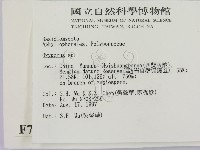 銳孔菌屬藏品圖，第2張