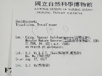 登錄號:F0007895藏品圖，第2張