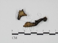 登錄號:F0007900藏品圖，第1張