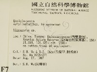 登錄號:F0007901藏品圖，第2張