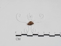 登錄號:F0007901藏品圖，第3張