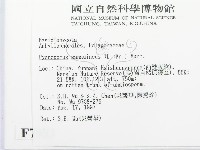 血紅密孔菌藏品圖，第2張