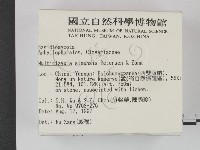 登錄號:F0007904藏品圖，第2張