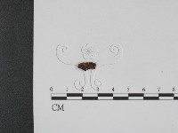 登錄號:F0007905藏品圖，第1張