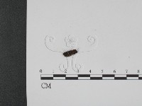 登錄號:F0007905藏品圖，第3張