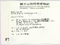 木耳屬藏品圖，第2張