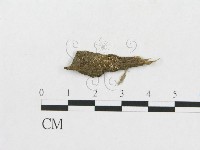 登錄號:F0007908藏品圖，第1張