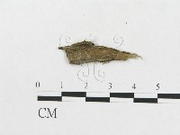 登錄號:F0007908藏品圖，第3張