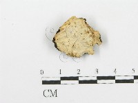 登錄號:F0007909藏品圖，第1張