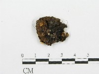 登錄號:F0007909藏品圖，第3張