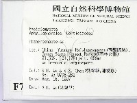 顯絲菌屬藏品圖，第2張