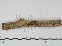 登錄號:F0007914藏品圖，第1張