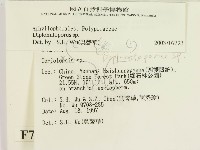 登錄號:F0007915藏品圖，第2張