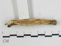 登錄號:F0007915藏品圖，第1張