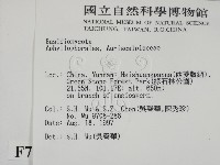 登錄號:F0007916藏品圖，第2張