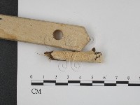 登錄號:F0007918藏品圖，第3張