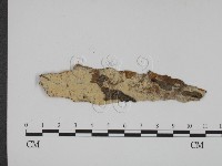 登錄號:F0007919藏品圖，第1張