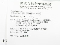 登錄號:F0007920藏品圖，第2張