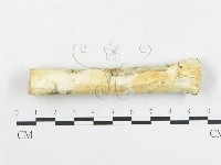 登錄號:F0007920藏品圖，第1張