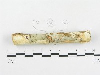 登錄號:F0007920藏品圖，第3張