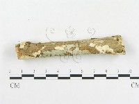 登錄號:F0007920藏品圖，第4張