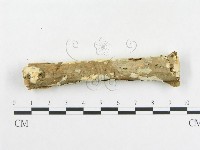 登錄號:F0007920藏品圖，第5張