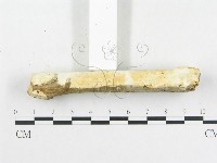 登錄號:F0007920藏品圖，第6張