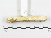 登錄號:F0007920藏品圖，第7張