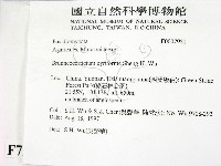 登錄號:F0007921藏品圖，第2張
