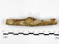 登錄號:F0007921藏品圖，第1張
