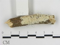 登錄號:F0007922藏品圖，第1張